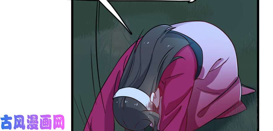 毒步天下：特工神医小兽妃115