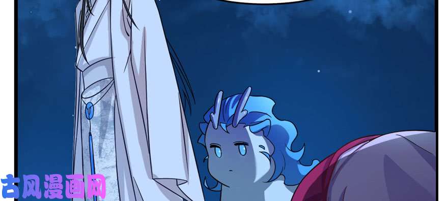 毒步天下：特工神医小兽妃115