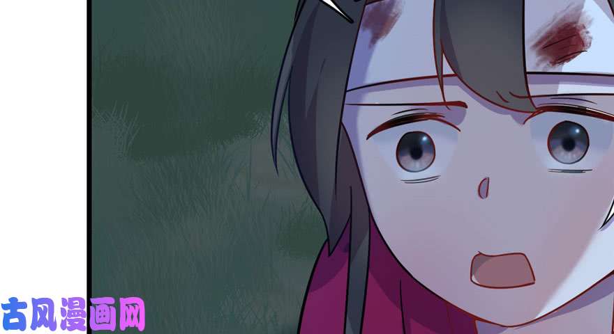 毒步天下：特工神医小兽妃115