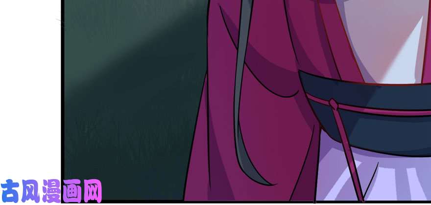 毒步天下：特工神医小兽妃115