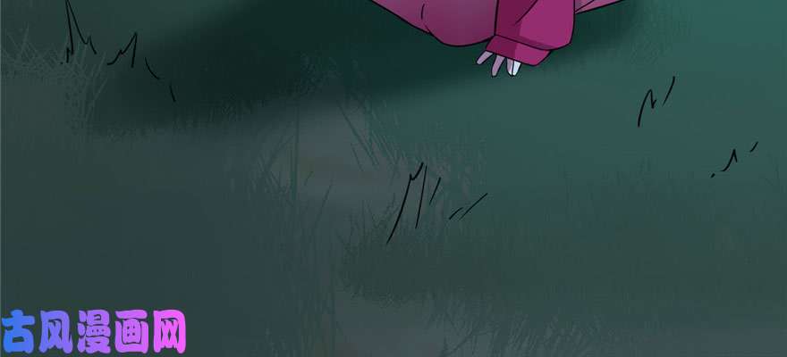 毒步天下：特工神医小兽妃115