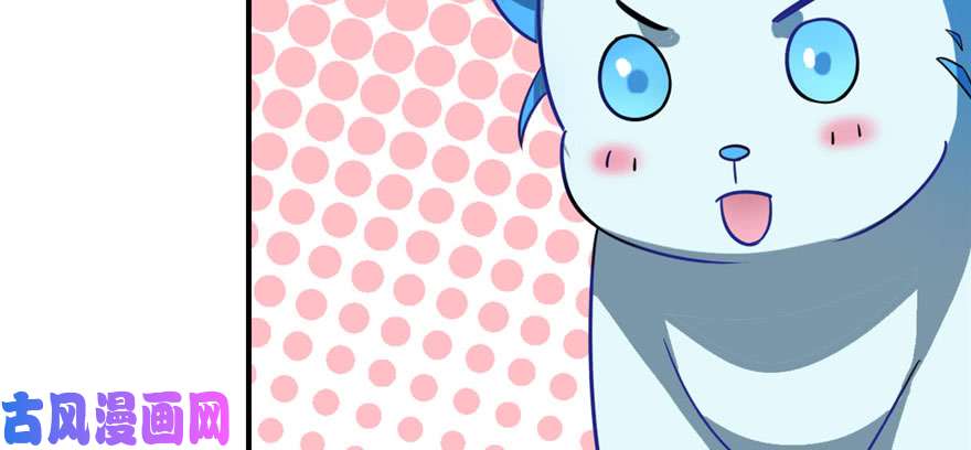 毒步天下：特工神医小兽妃115