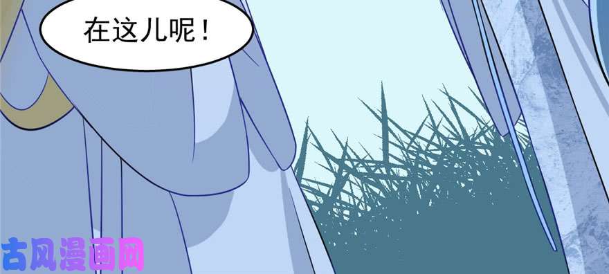 毒步天下：特工神医小兽妃115