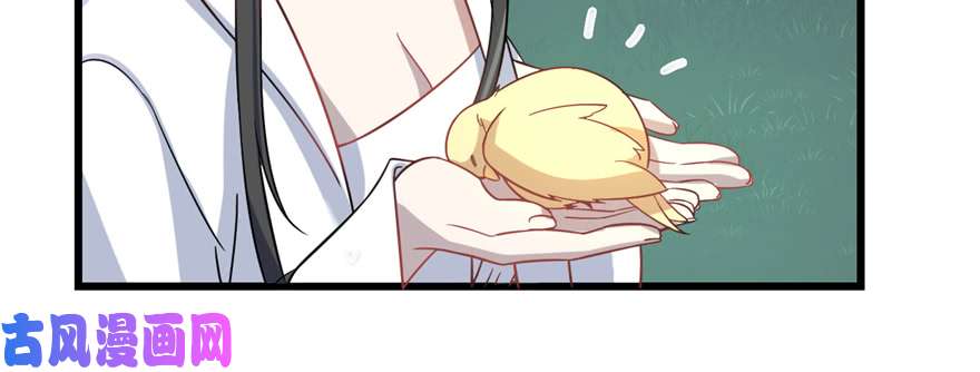 毒步天下：特工神医小兽妃115