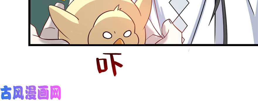 毒步天下：特工神医小兽妃115