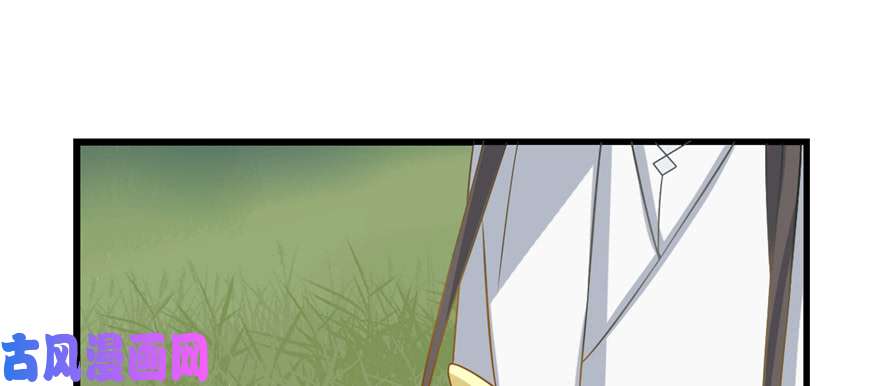 毒步天下：特工神医小兽妃116