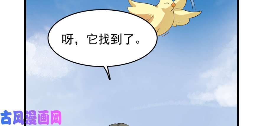 毒步天下：特工神医小兽妃116