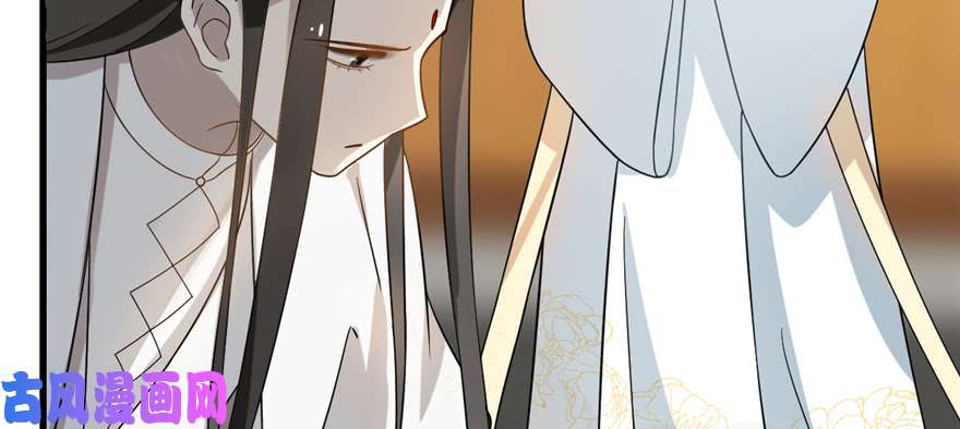 毒步天下：特工神医小兽妃116