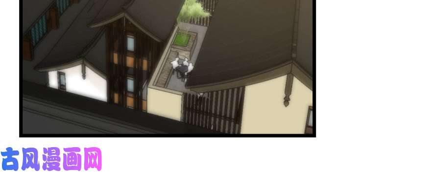 毒步天下：特工神医小兽妃116