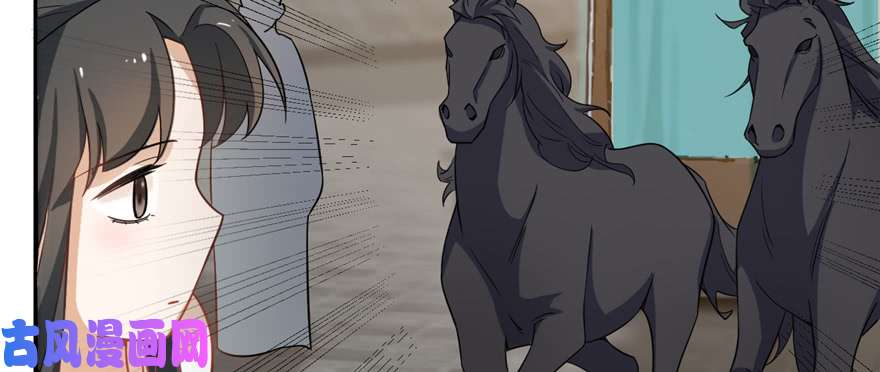 毒步天下：特工神医小兽妃116