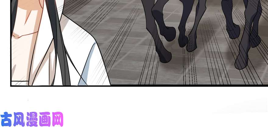 毒步天下：特工神医小兽妃116