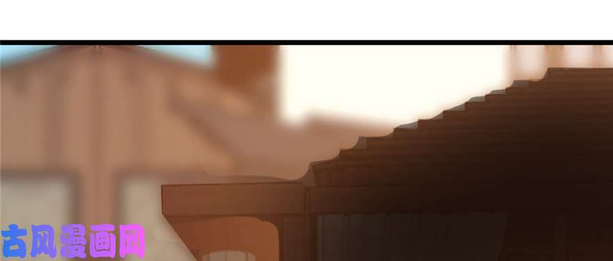 毒步天下：特工神医小兽妃116