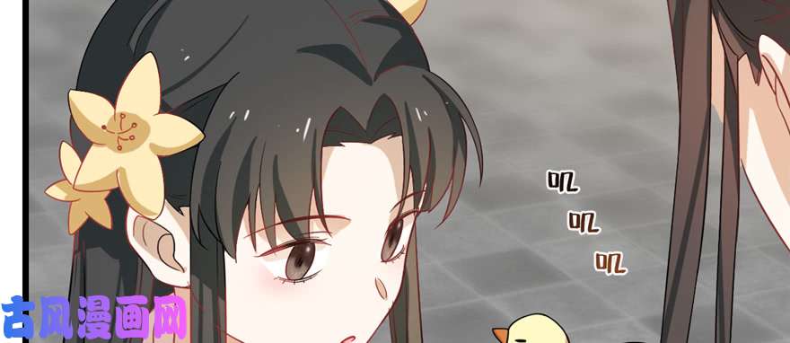 毒步天下：特工神医小兽妃116