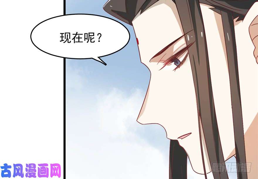 毒步天下：特工神医小兽妃116