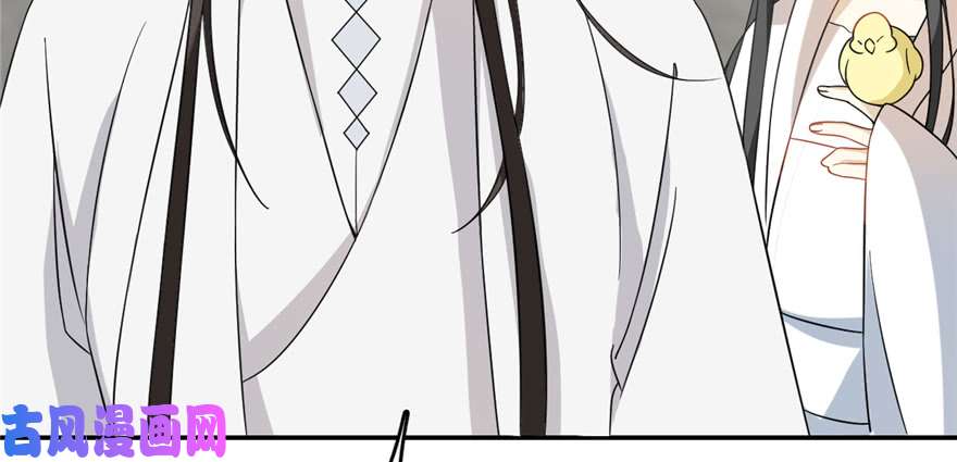 毒步天下：特工神医小兽妃116