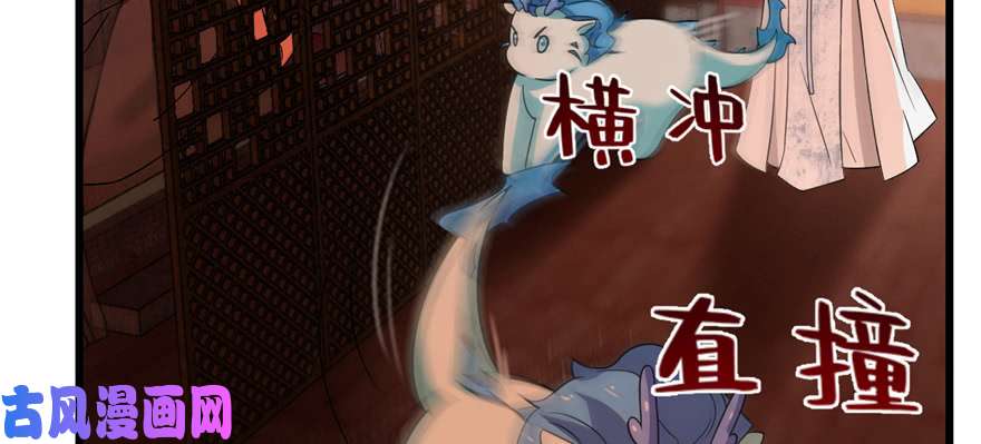 毒步天下：特工神医小兽妃116