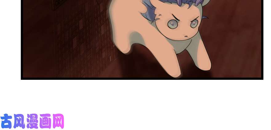 毒步天下：特工神医小兽妃116