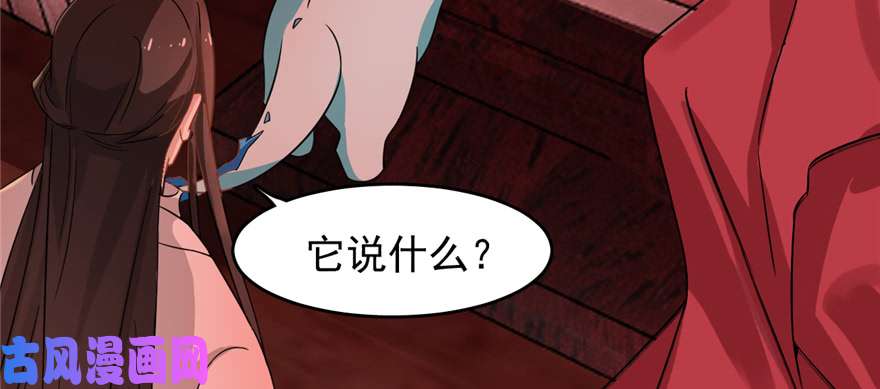 毒步天下：特工神医小兽妃116