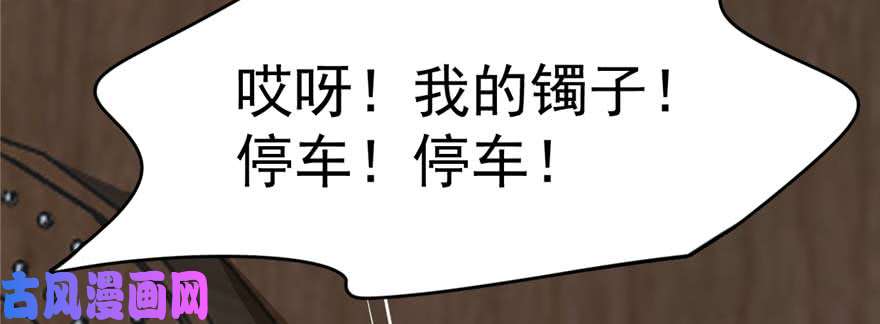 毒步天下：特工神医小兽妃117
