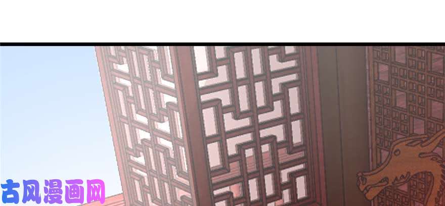 毒步天下：特工神医小兽妃117