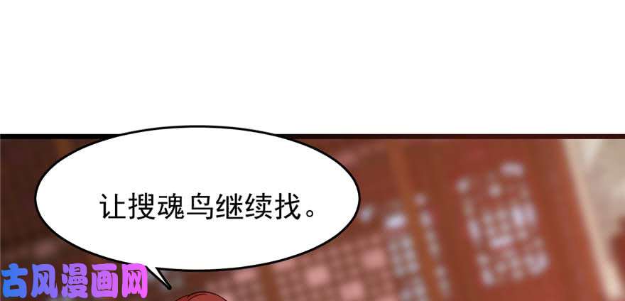 毒步天下：特工神医小兽妃117