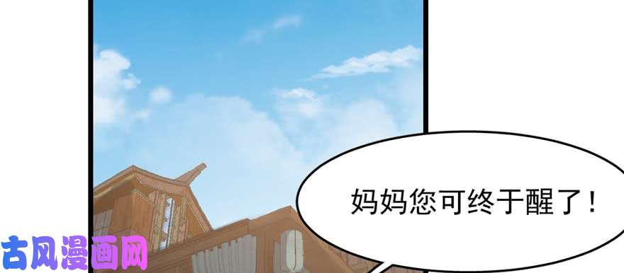 毒步天下：特工神医小兽妃117