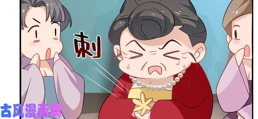 毒步天下：特工神医小兽妃117