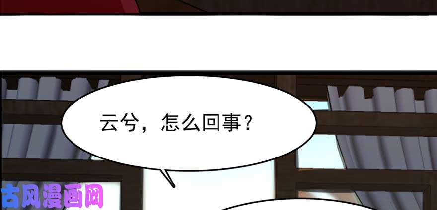 毒步天下：特工神医小兽妃117