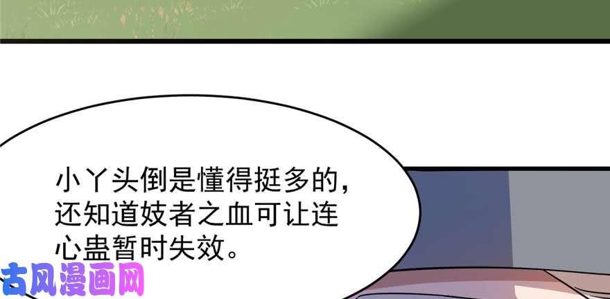 毒步天下：特工神医小兽妃118