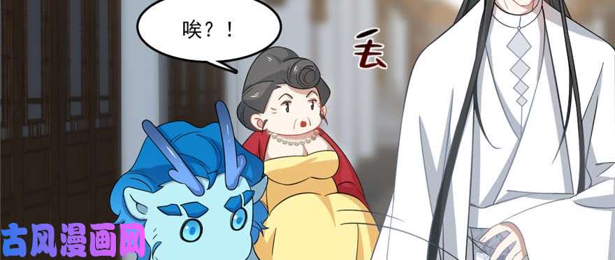 毒步天下：特工神医小兽妃122