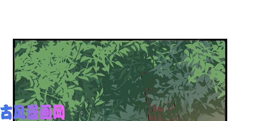 毒步天下：特工神医小兽妃120