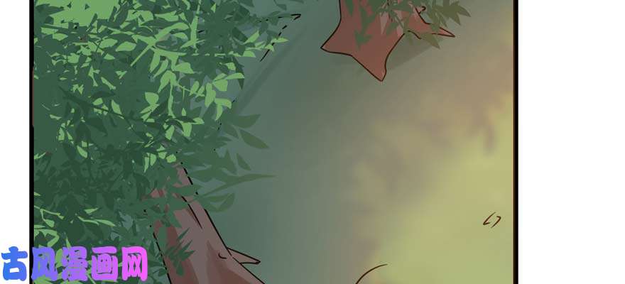 毒步天下：特工神医小兽妃120