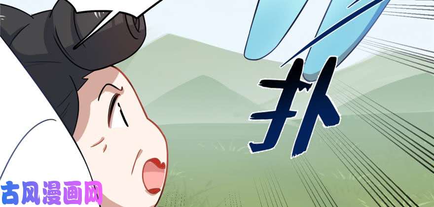 毒步天下：特工神医小兽妃120