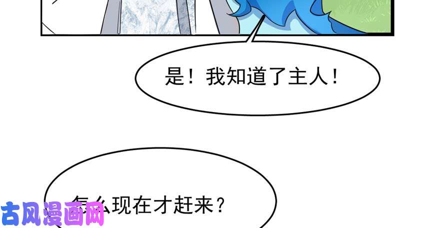 毒步天下：特工神医小兽妃120