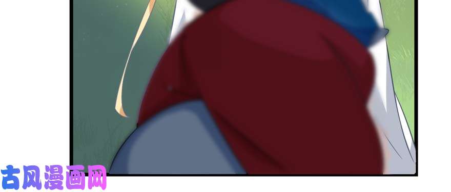 毒步天下：特工神医小兽妃120