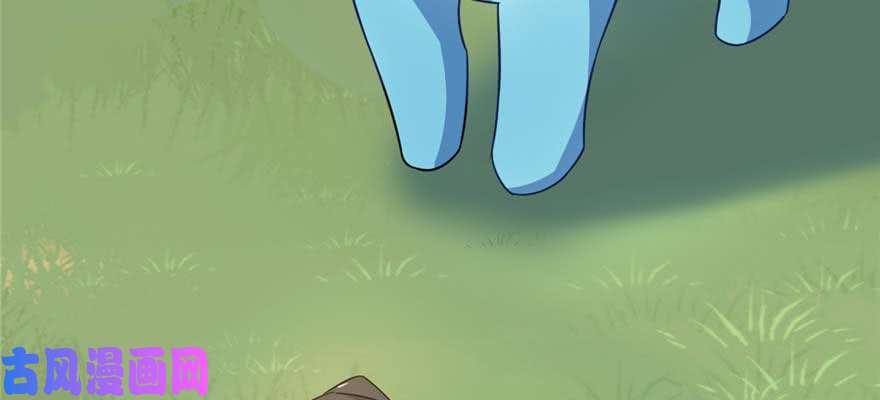 毒步天下：特工神医小兽妃120