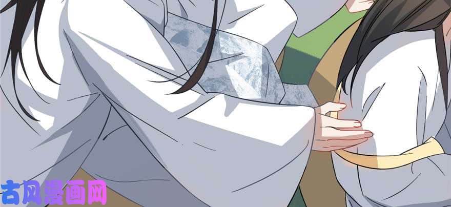 毒步天下：特工神医小兽妃120