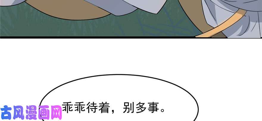 毒步天下：特工神医小兽妃120