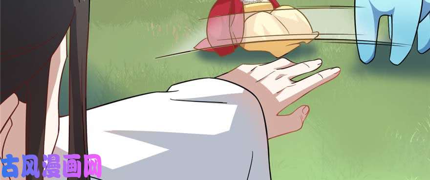 毒步天下：特工神医小兽妃120