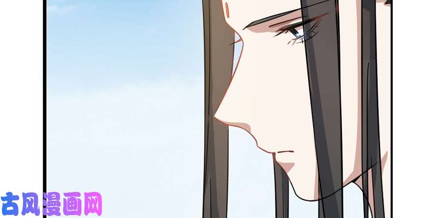 毒步天下：特工神医小兽妃120