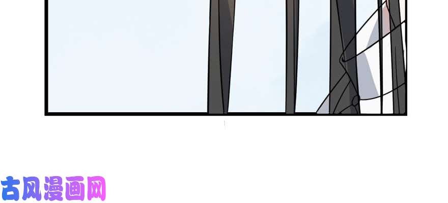 毒步天下：特工神医小兽妃120