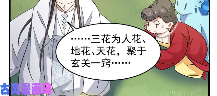 毒步天下：特工神医小兽妃120