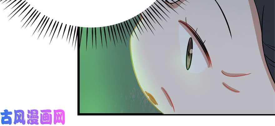 毒步天下：特工神医小兽妃120