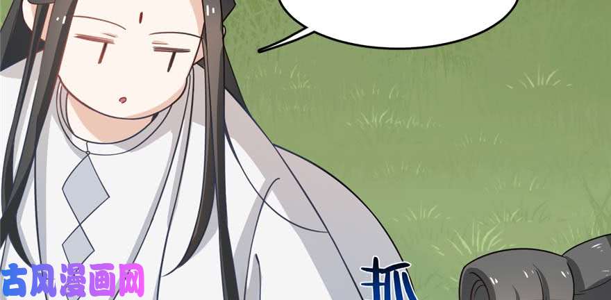 毒步天下：特工神医小兽妃120