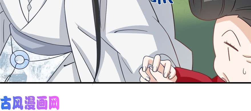 毒步天下：特工神医小兽妃120