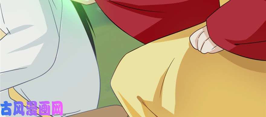 毒步天下：特工神医小兽妃120