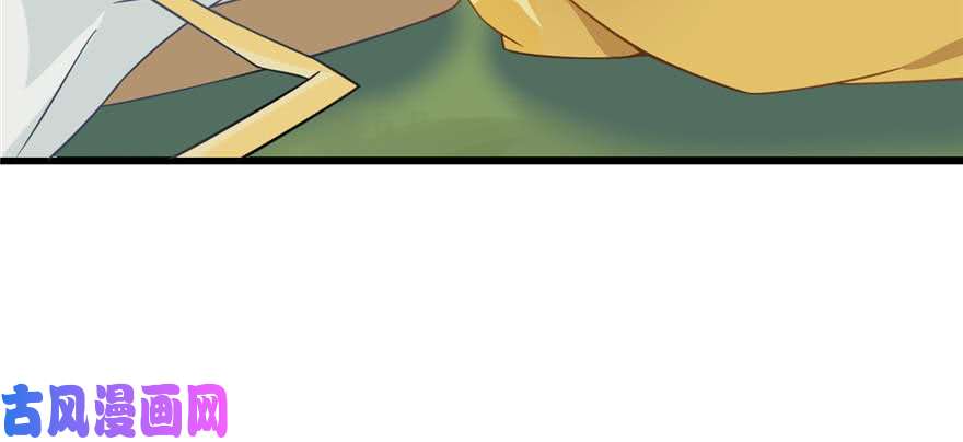 毒步天下：特工神医小兽妃120