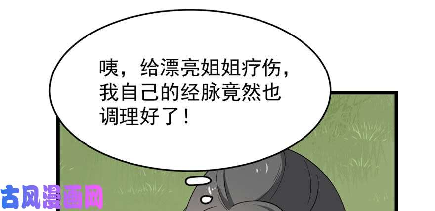 毒步天下：特工神医小兽妃120