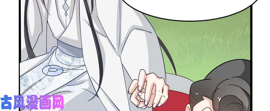 毒步天下：特工神医小兽妃120