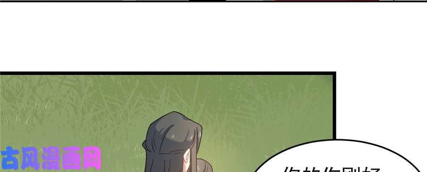 毒步天下：特工神医小兽妃121